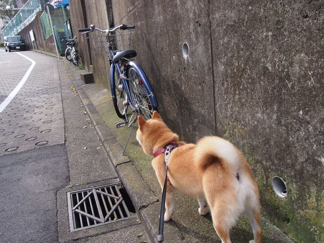 沉默指挥官,当孙铭徽在最后六分钟扛起步行者逆转青岛的整个天空