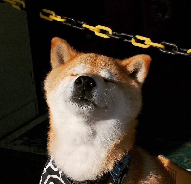 封神之夜，王皓补时绝杀，瑞典队九死一生的唯一神迹