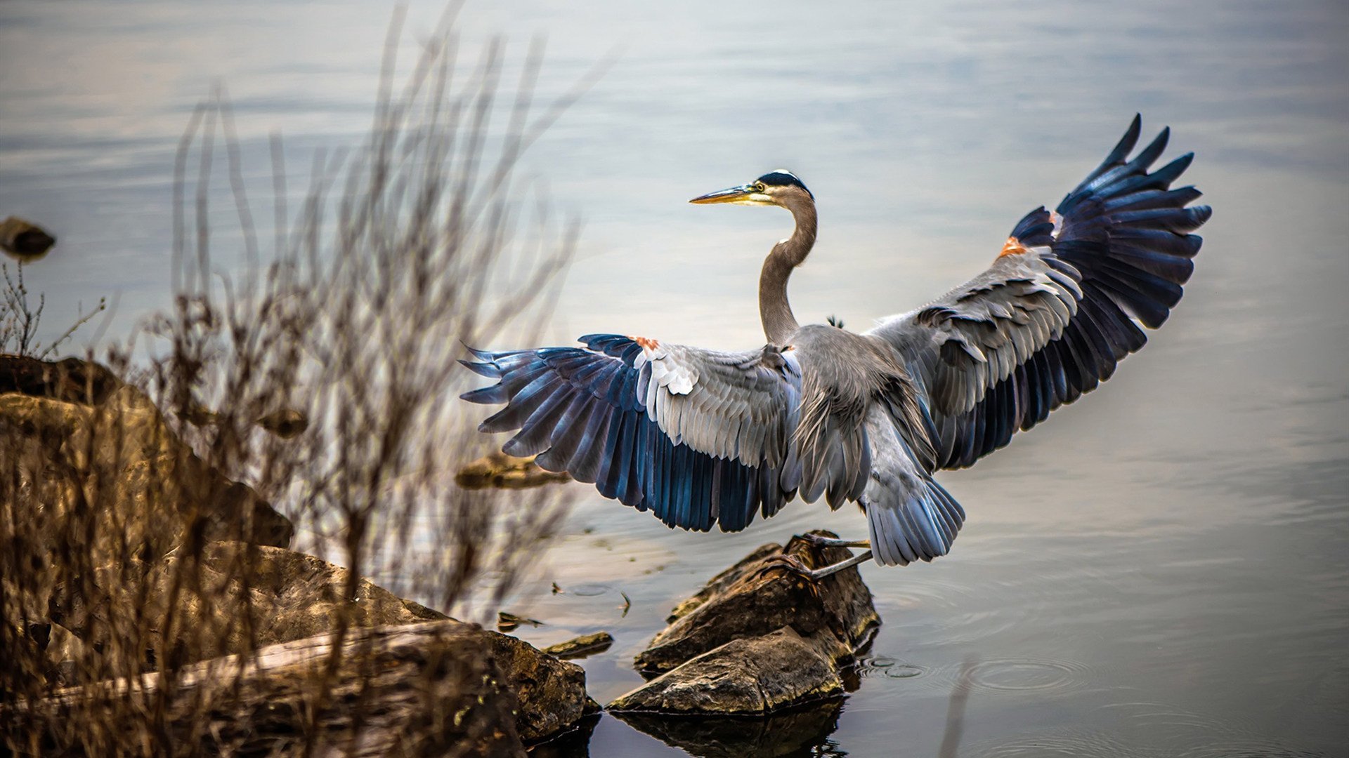 金球骑士淬炼冠军血统，詹眉三巨头失衡背后的奥运周期启示