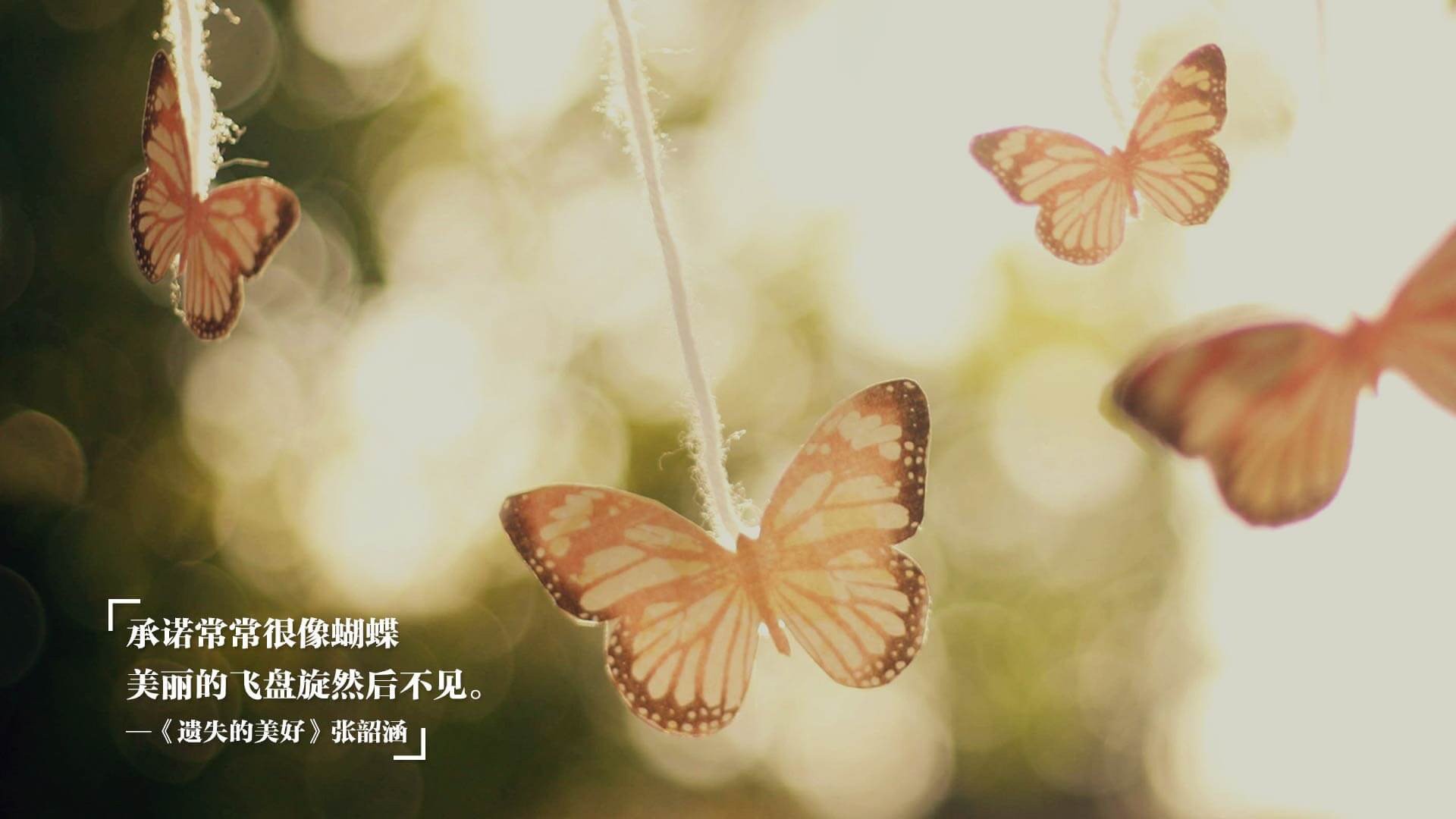 三声哨响，美加墨世界杯之夜的非洲心跳