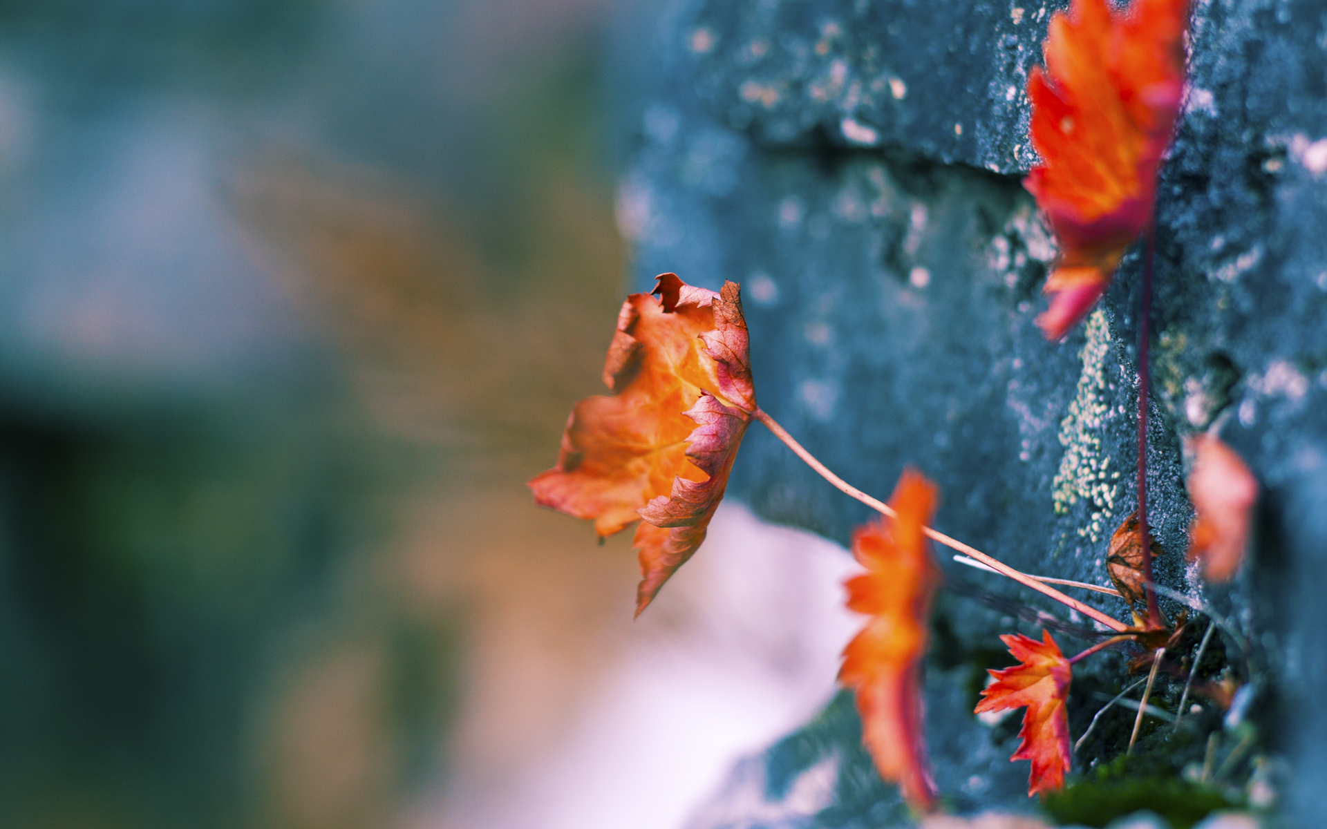 让我为您构思一篇富有深度且视角独特的文章