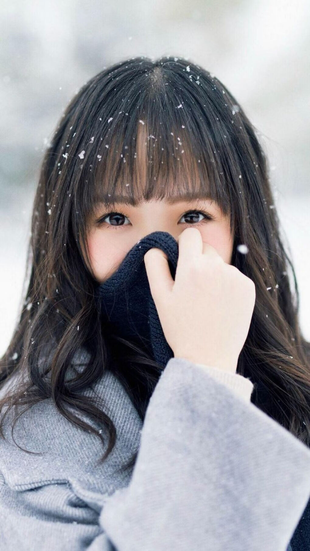 当凯尔特绿撞上猛龙红，一场欧冠篮球赛如何改写了百年足球史