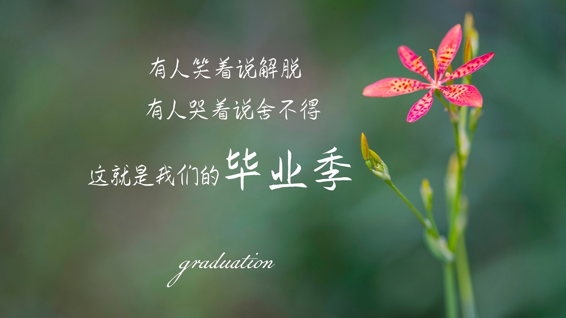 太阳熔炉炼金术，破爵士高原堡垒，哈登戴上关键王冠