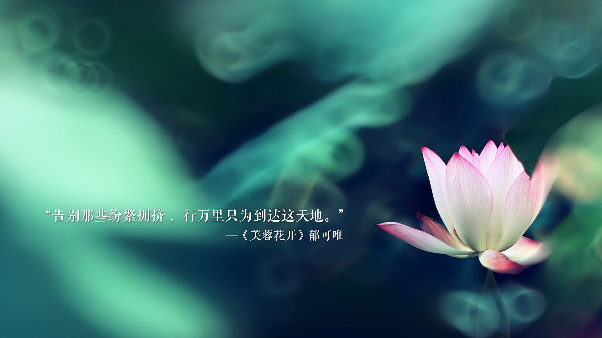 逆转之王，2026世界杯A组，哥伦比亚绝地翻盘印度，齐耶赫一剑封喉