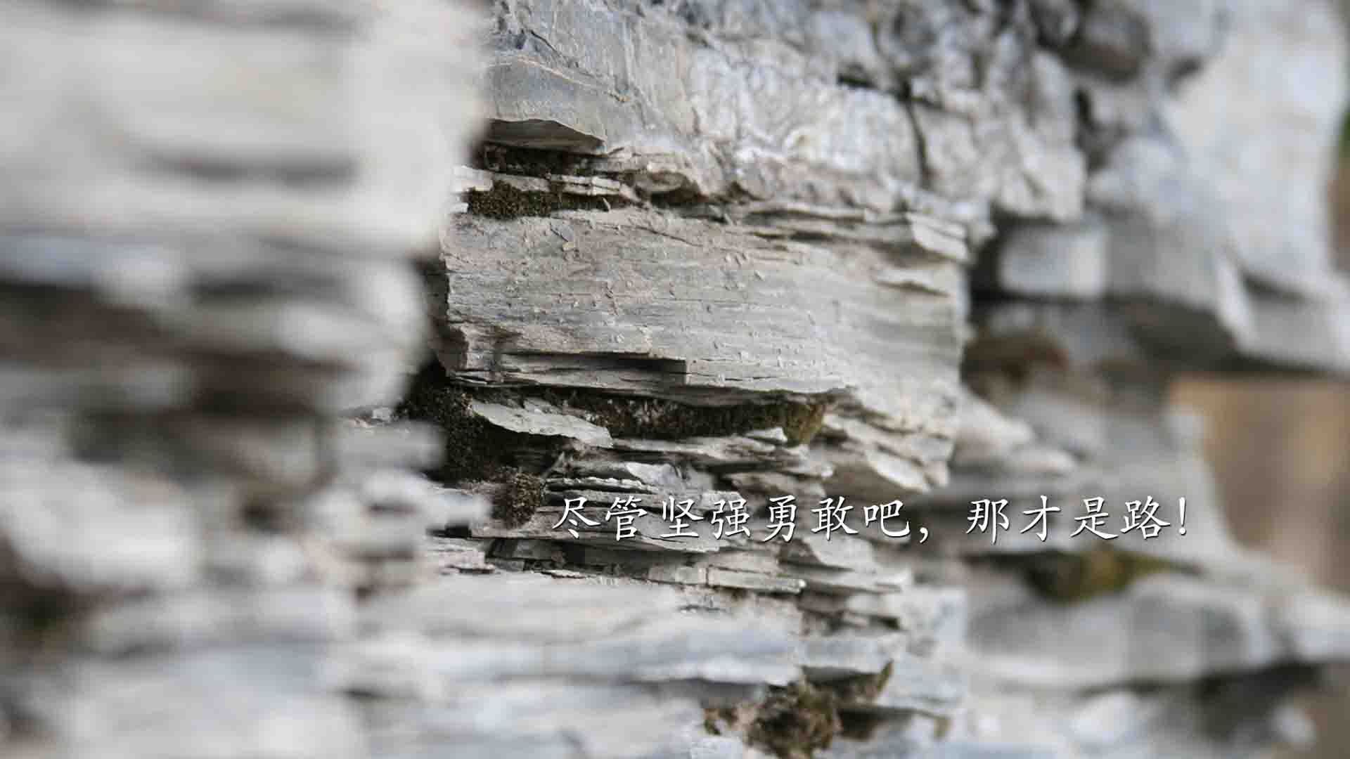 橙衣军团的铁壁，与巴黎王子的独舞—2026世界杯D组强强对话，荷兰压制厄瓜多尔，姆巴佩闪耀全场