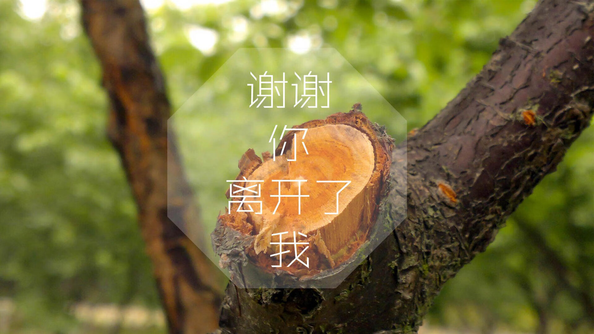 北欧铁骑的复仇，2026世界杯，孙兴慜率韩国队撕碎袋鼠军团的压制枷锁